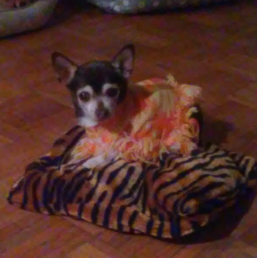 Meet your Posher, Krista